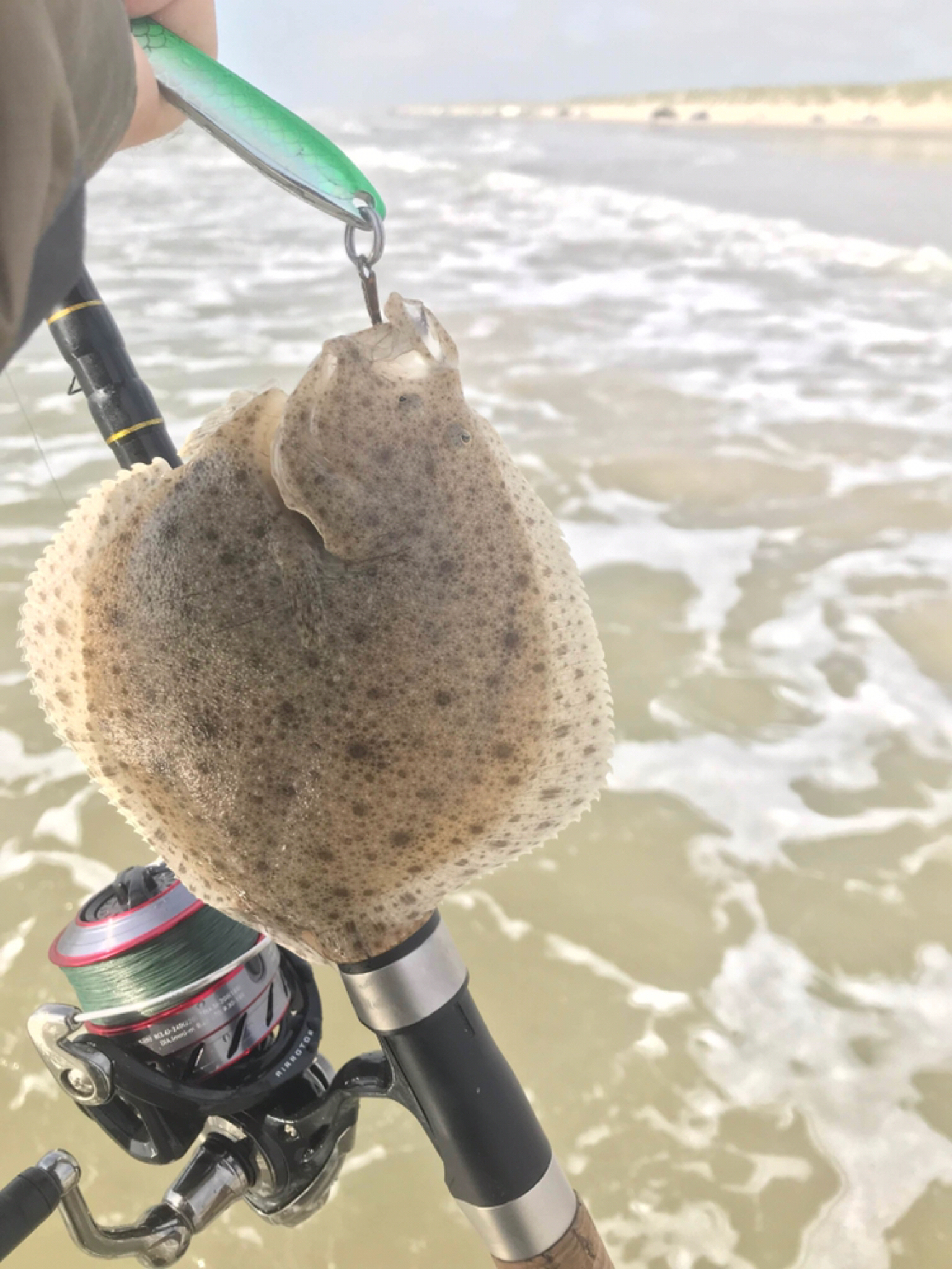 A small turbot held up by the lure in its mouth against a background of breaking surf, its body almost circular and noticeably broader than it is long, the upward-facing side sandy brown and freckled with darker spots.