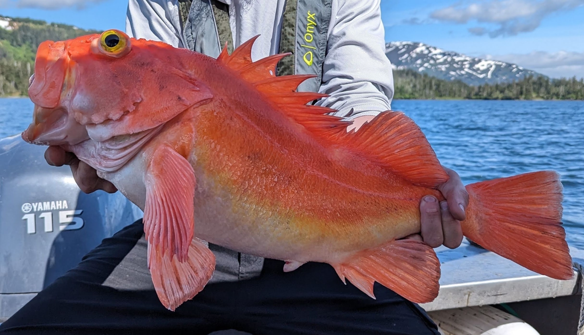 A large orange-red rockfish held horizontally across two hands over the side of a small boat, with a vivid yellow iris around a black pupil, a pale stripe running along the lateral line, heavy bony ridges above and behind the eye, and a raised spiny dorsal fin.